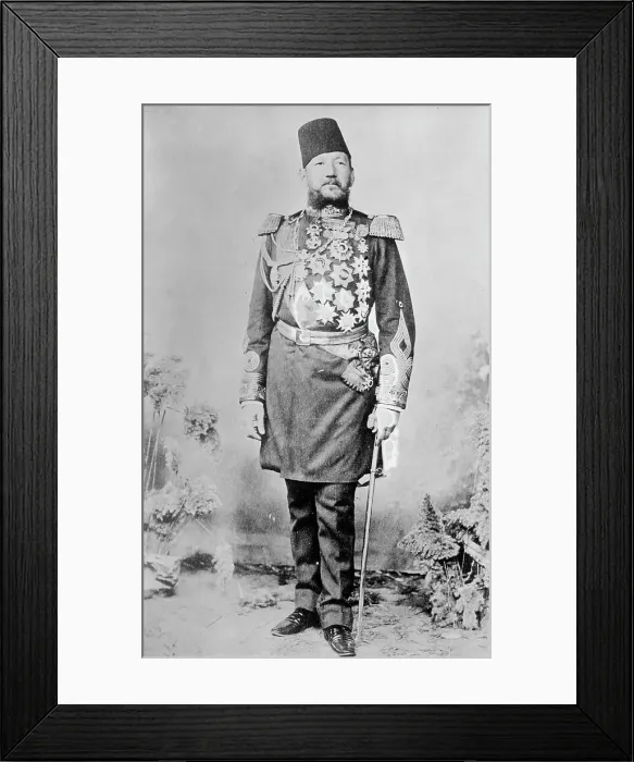 Framed Print : Fuad Pacha, between c1910 and 1912. Creator: Bain News Service Framed Print : Fuad Pacha, between c1910 and 1912. Creator: Bain News Service