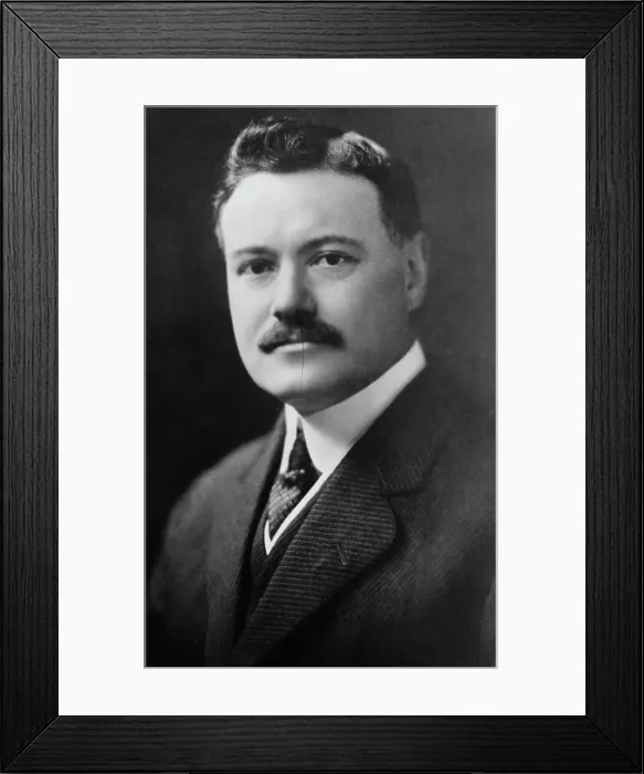 Framed Print : W. D'Arcy Ryan, between c1915 and c1920. Creator: Bain News Service
