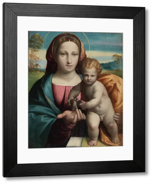 Framed Print : Madonna and child with a little bird, c1517. Creator: Garofalo; Benvenuto Tisi da (1481-1559) Framed Print : Madonna and child with a little bird, c1517. Creator: Garofalo; Benvenuto Tisi da (1481-1559)