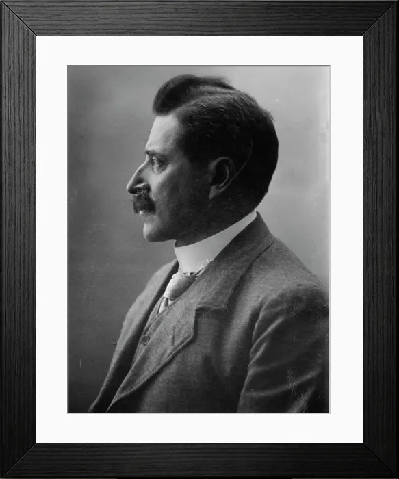 Framed Print : Verner von Heidenstan [i.e. Heidenstam], between c1910 and c1920. Creator: Bain News Service