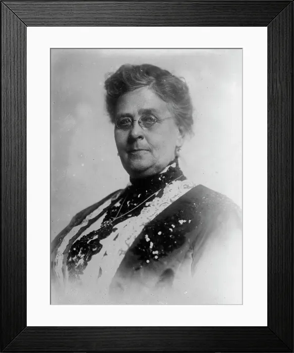 Framed Print : Mrs. A.B. Sims, 1910. Creator: Bain News Service Framed Print : Mrs. A.B. Sims, 1910. Creator: Bain News Service