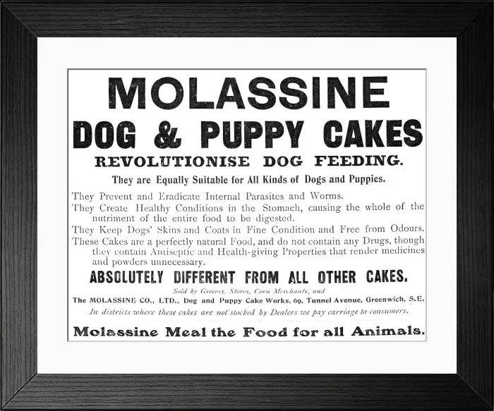 Framed Print : Molassine Dog & Puppy Cakes revolutionise dog feeding - equally suitable for all kinds of dogs, 1909 Creator: Unknown Framed Print : Molassine Dog & Puppy Cakes revolutionise dog feeding - equally suitable for all kinds of dogs, 1909 Creator: Unknown