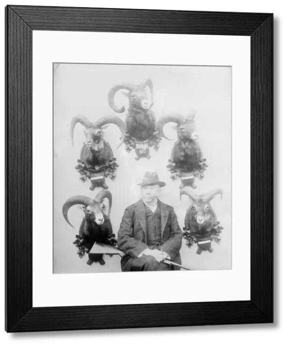 Framed Print : Walter Winans [with Mt. Sheep head trophies], between c1910 and c1915. Creator: Bain News Service