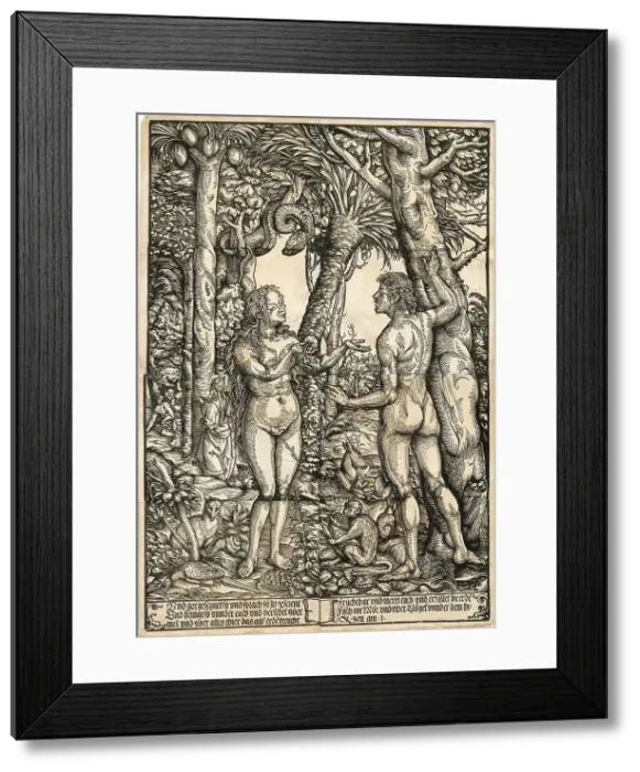 Framed Print : Adam and Eve, c1525. Creator: Burgkmair; Hans; the Elder (1473-1531) Framed Print : Adam and Eve, c1525. Creator: Burgkmair; Hans; the Elder (1473-1531)