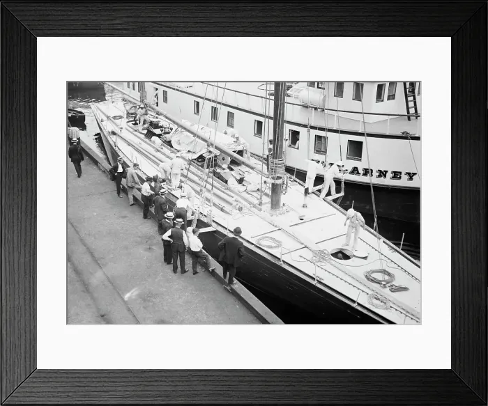 Framed Print : SHAMROCK, New York, 8 / 17 / 14, 1914. Creator: Bain News Service Framed Print : SHAMROCK, New York, 8 / 17 / 14, 1914. Creator: Bain News Service