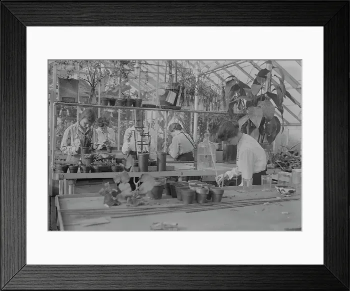 Framed Print : Botany, Barnard, between c1915 and c1920. Creator: Bain News Service Framed Print : Botany, Barnard, between c1915 and c1920. Creator: Bain News Service