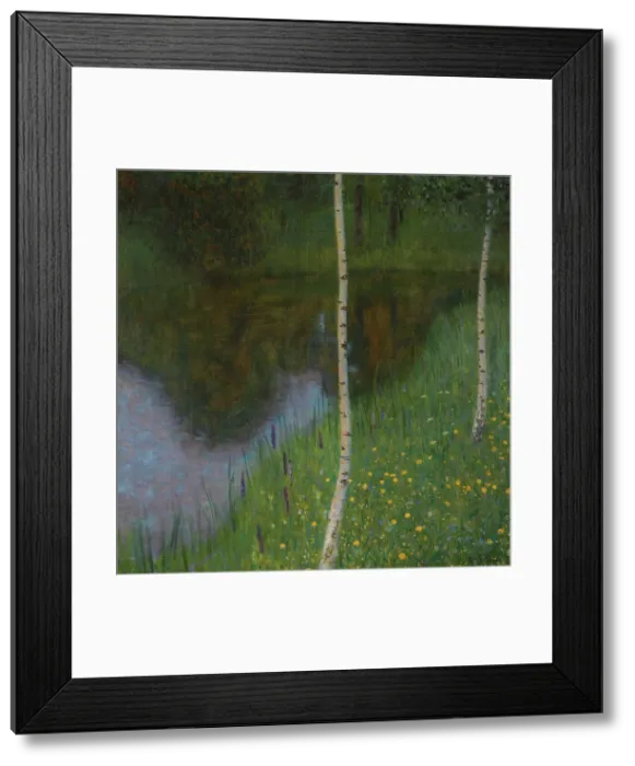 Framed Print : Seeufer mit Birken (Lakeshore with birches), 1901. Creator: Klimt; Gustav (1862-1918) Framed Print : Seeufer mit Birken (Lakeshore with birches), 1901. Creator: Klimt; Gustav (1862-1918)