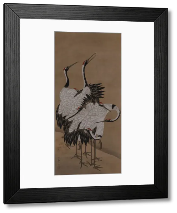 Framed Print : Seven cranes, 1775. Creator: Jakuchu; Ito (1716-1800) Framed Print : Seven cranes, 1775. Creator: Jakuchu; Ito (1716-1800)