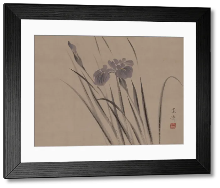 Framed Print : Irises sway in the wind. Creator: Kansai; Mori (1814-1894) Framed Print : Irises sway in the wind. Creator: Kansai; Mori (1814-1894)