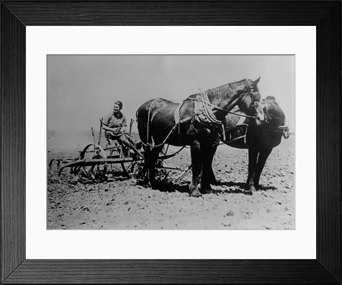 Framed Print : Woman's Land Army of Calif. between c1915 and c1920. Creator: Bain News Service Framed Print : Woman's Land Army of Calif. between c1915 and c1920. Creator: Bain News Service