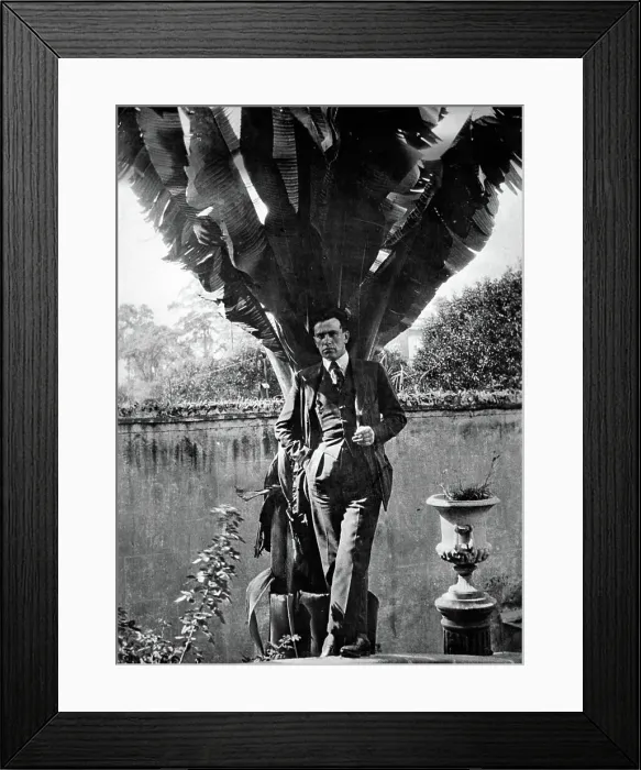 Framed Print : Vladimir Mayakovsky in Mexico, 1925. Creator: Modotti; Tina (1896-1942) Framed Print : Vladimir Mayakovsky in Mexico, 1925. Creator: Modotti; Tina (1896-1942)