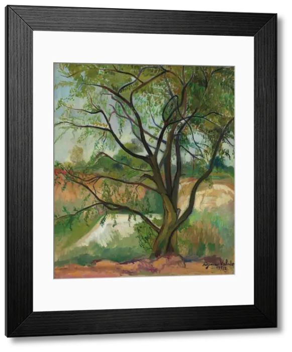 Framed Print : L'arbre (The Tree), 1912. Creator: Valadon; Suzanne (1865-1938) Framed Print : L'arbre (The Tree), 1912. Creator: Valadon; Suzanne (1865-1938)