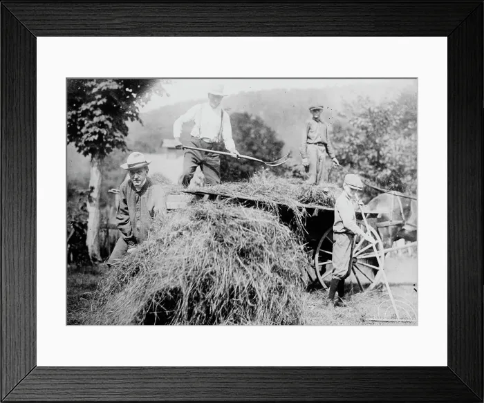 Framed Print : Coolidge, between c1915 and c1920. Creator: Bain News Service Framed Print : Coolidge, between c1915 and c1920. Creator: Bain News Service