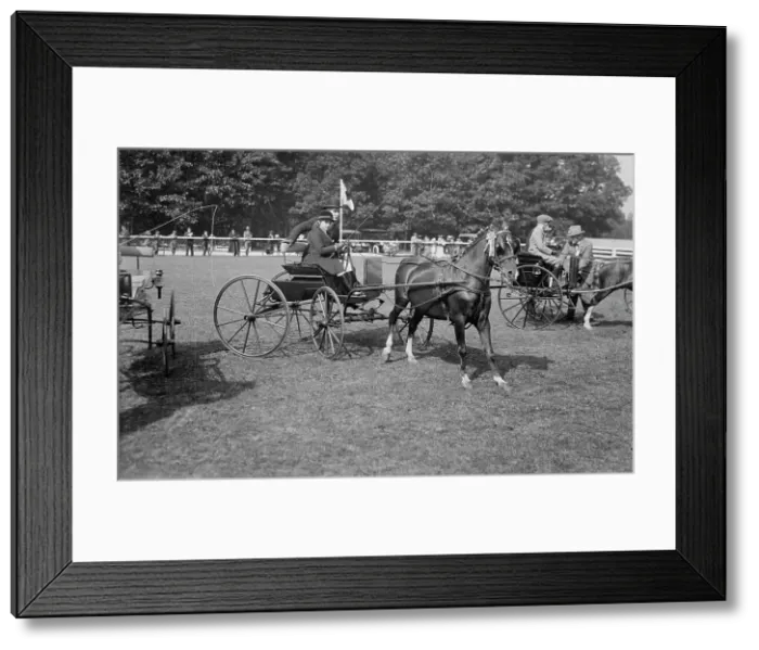Framed Print : Corinne Poth & Supreme Bounce, 1918. Creator: Bain News Service Framed Print : Corinne Poth & Supreme Bounce, 1918. Creator: Bain News Service