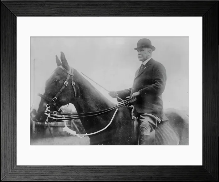 Framed Print : General Sir George Richardson, between c1910 and c1915. Creator: Bain News Service Framed Print : General Sir George Richardson, between c1910 and c1915. Creator: Bain News Service