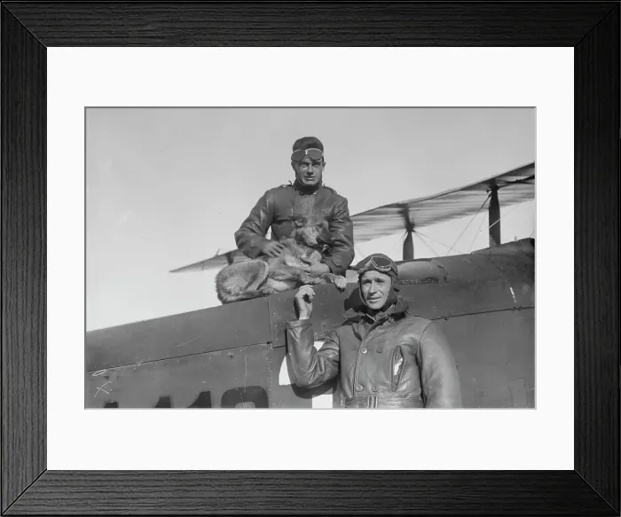Framed Print : William E. Kline, Trixie the dog, Lieutenant Belvin W. Maynard, 1919. Creator: Bain News Service Framed Print : William E. Kline, Trixie the dog, Lieutenant Belvin W. Maynard, 1919. Creator: Bain News Service