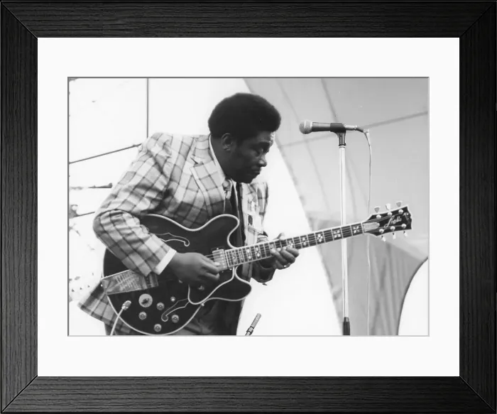 Framed Print : B.B. King, Capital Radio Jazz Festival, London, 1979. Creator: Brian Foskett