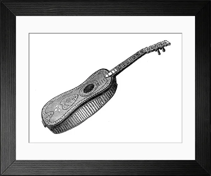 Framed Print : Musical Instruments at the South Kensington Museum: Guitar, 1870. Creator: Unknown Framed Print : Musical Instruments at the South Kensington Museum: Guitar, 1870. Creator: Unknown