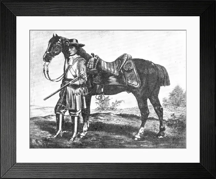 Framed Print : A trooper in the Royal Regiment of Horse, circa 1684, (1909). Creator: Unknown Framed Print : A trooper in the Royal Regiment of Horse, circa 1684, (1909). Creator: Unknown