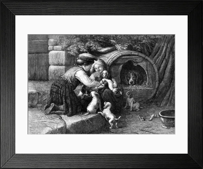 Framed Print : Amongst the Pets, by J. W. Bottomley, in the Royal Academy exhibition, 1870. Creator: William Hollidge Framed Print : Amongst the Pets, by J. W. Bottomley, in the Royal Academy exhibition, 1870. Creator: William Hollidge