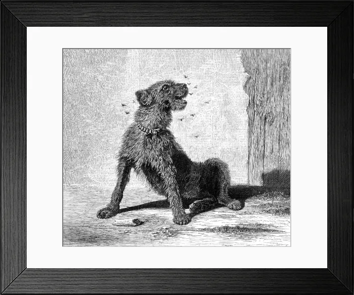 Framed Print : Catching Flies, by B. Riviere, 1870. Creator: Unknown Framed Print : Catching Flies, by B. Riviere, 1870. Creator: Unknown