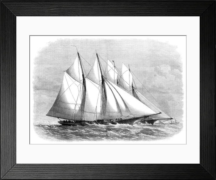 Framed Print : The International Yacht Races: start off the east end of the Isle of Wight, 1870. Creator: Unknown Framed Print : The International Yacht Races: start off the east end of the Isle of Wight, 1870. Creator: Unknown
