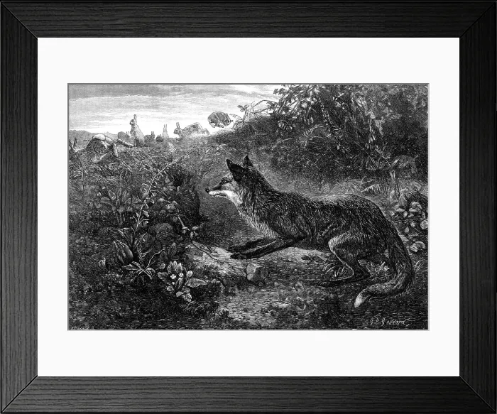 Framed Print : Gambols Disturbed, by G. B. Goddard, 1870. Creator: Horace Harral Framed Print : Gambols Disturbed, by G. B. Goddard, 1870. Creator: Horace Harral
