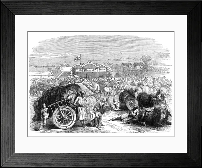 Framed Print : Khangaon Cotton Market, West Berar, India, 1870. Creator: Unknown Framed Print : Khangaon Cotton Market, West Berar, India, 1870. Creator: Unknown