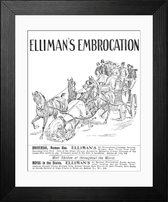 Framed Print : Advertisement for Elliman's Embrocation, 1909. Creator: Unknown. Advertisement for Elliman's Embrocation, 1909. Creator: Unknown Framed Print : Advertisement for Elliman's Embrocation, 1909. Creator: Unknown. Advertisement for Elliman's Embrocation, 1909. Creator: Unknown