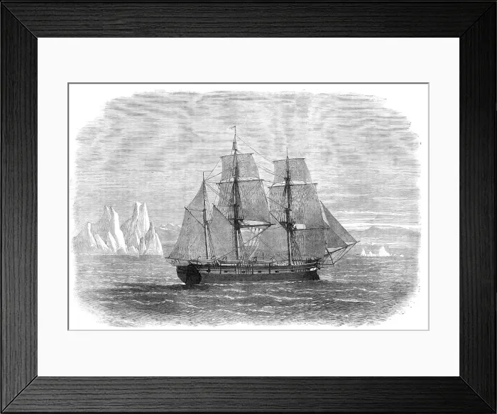 Framed Print : The Truelove, of Hull, the last of the sailing whalers, 1870. Creator: Unknown Framed Print : The Truelove, of Hull, the last of the sailing whalers, 1870. Creator: Unknown