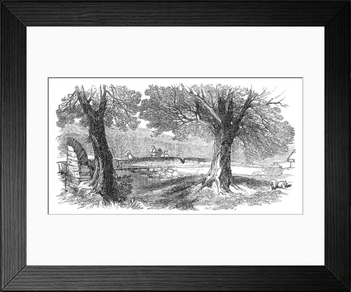 Framed Print : Sketches from Ireland: place where Mr. Nicholson was fired at, 1870. Creator: Unknown Framed Print : Sketches from Ireland: place where Mr. Nicholson was fired at, 1870. Creator: Unknown