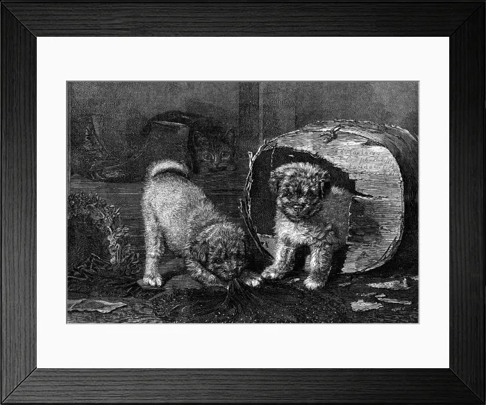 Framed Print : Jack in the Box, by H. H. Couldery, 1870. Creator: Unknown Framed Print : Jack in the Box, by H. H. Couldery, 1870. Creator: Unknown
