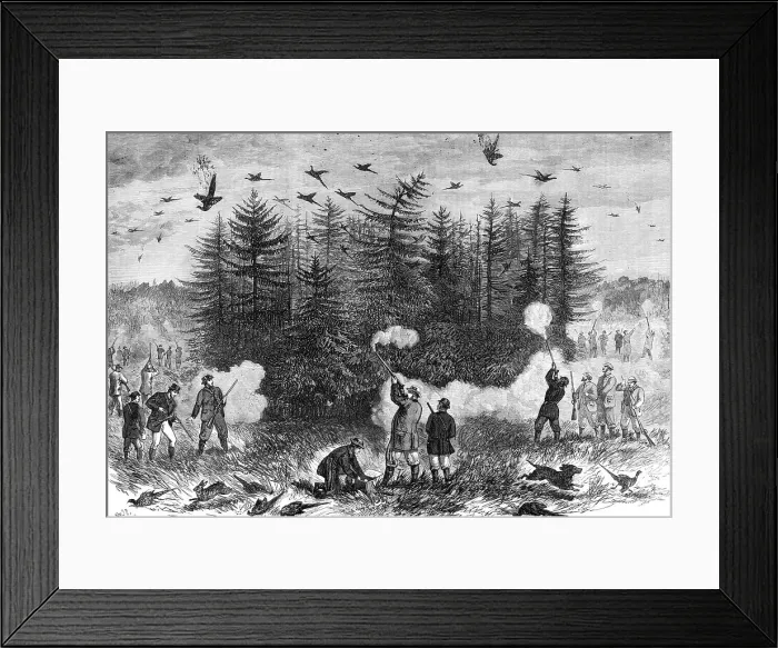 Framed Print : A Sandringham bouquet, 1870. Creator: S. C. Carter