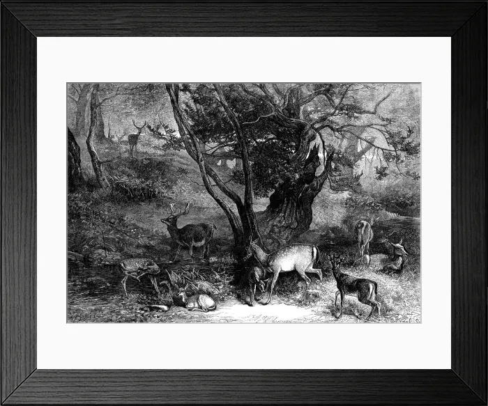 Framed Print : The Months: July, 1871. Creator: Horace Harral Framed Print : The Months: July, 1871. Creator: Horace Harral