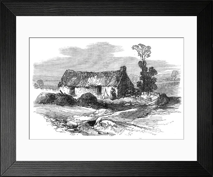Framed Print : Sketches from Ireland: Mike Brannan's cabin in the Hundred Acres Bog, 1870. Creator: Unknown Framed Print : Sketches from Ireland: Mike Brannan's cabin in the Hundred Acres Bog, 1870. Creator: Unknown
