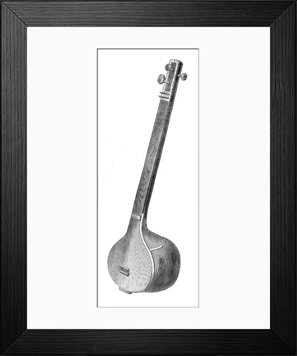 Framed Print : Musical Instruments in the South Kensington Museum: Hindoo Tamboura, 1870. Creator: Unknown Framed Print : Musical Instruments in the South Kensington Museum: Hindoo Tamboura, 1870. Creator: Unknown