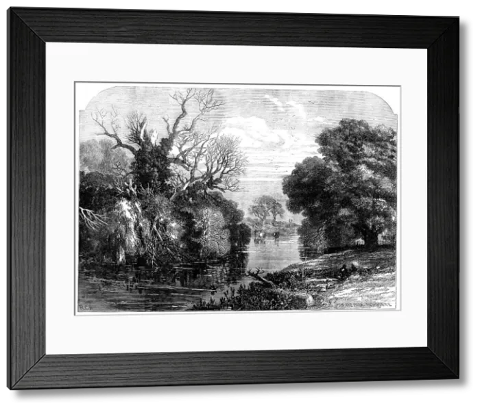 Framed Print : View in Tichborne Park, Alresford, Hants, 1871. Creator: Unknown Framed Print : View in Tichborne Park, Alresford, Hants, 1871. Creator: Unknown