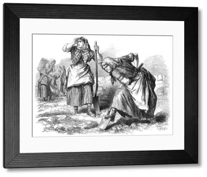 Framed Print : Sketches from Ireland: women at field-work in Roscommon, 1870. Creator: Unknown Framed Print : Sketches from Ireland: women at field-work in Roscommon, 1870. Creator: Unknown