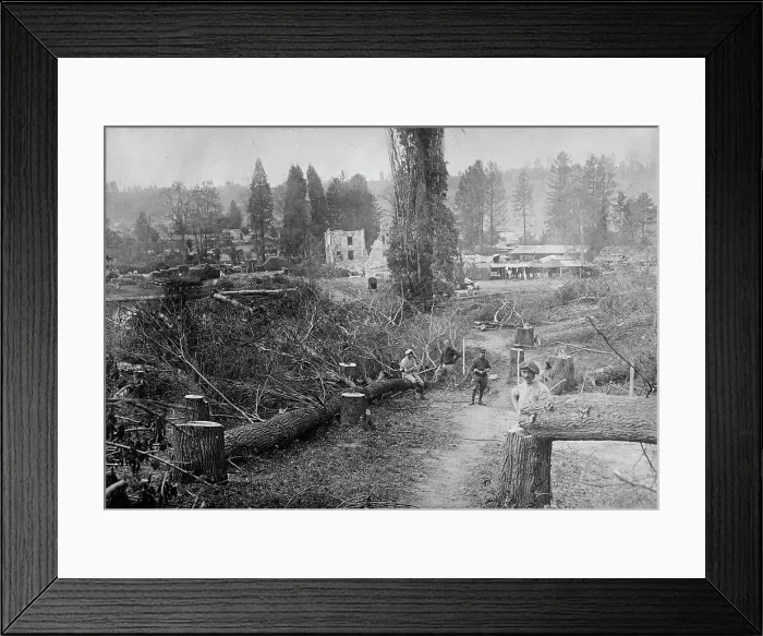 Framed Print : Farm, Aisne District, between c1915 and 1918. Creator: Bain News Service Framed Print : Farm, Aisne District, between c1915 and 1918. Creator: Bain News Service