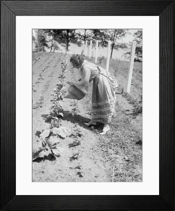 Framed Print : Amelita Galli-Curci, between c1915 and c1920. Creator: Bain News Service Framed Print : Amelita Galli-Curci, between c1915 and c1920. Creator: Bain News Service