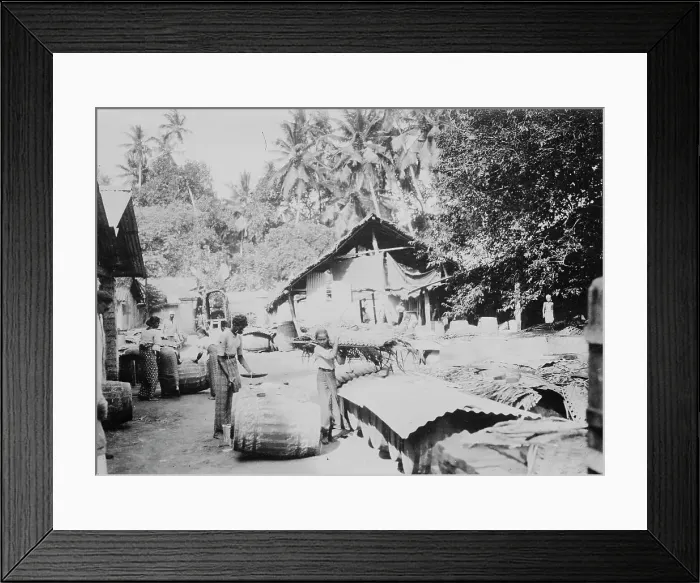 Framed Print : Java, shipping Plumbago, between c1915 and c1920. Creator: Bain News Service Framed Print : Java, shipping Plumbago, between c1915 and c1920. Creator: Bain News Service