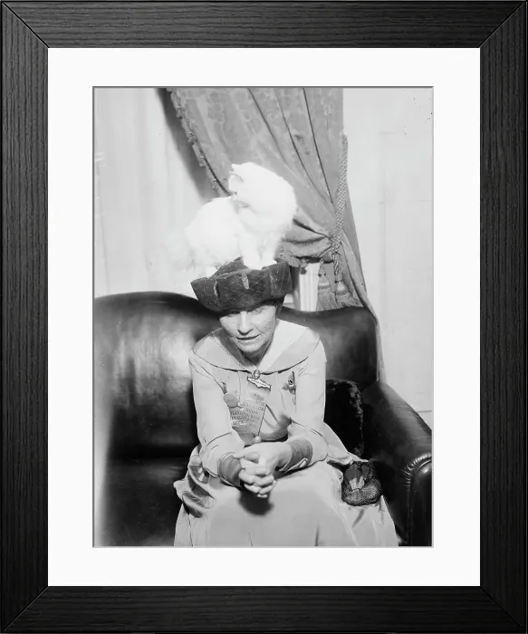 Framed Print : Mrs. R.F. Armstrong & Kilravock Donna-Mafalda [cat], between c1915 and c1920. Creator: Bain News Service