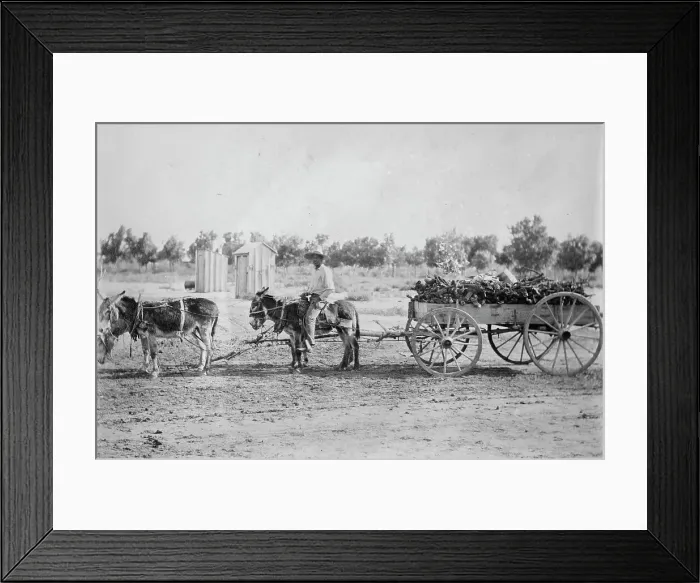 Framed Print : Mexicans hauling wood in New Mex. [Mexico], between c1915 and c1920. Creator: Bain News Service
