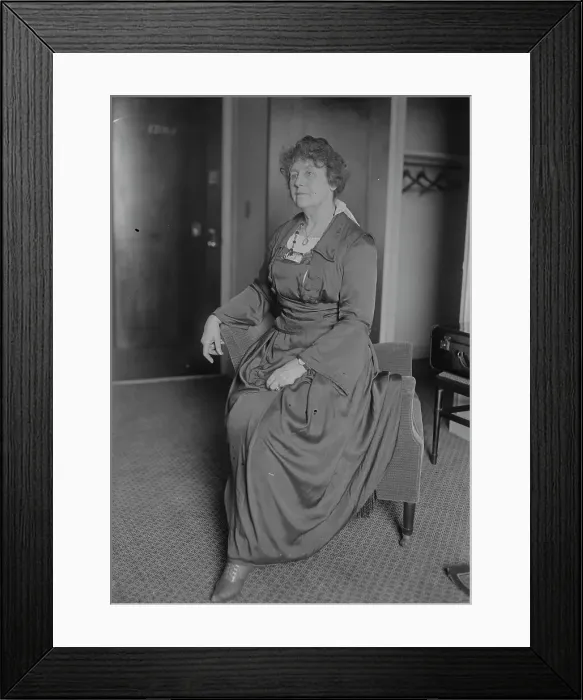 Framed Print : Mrs. Jas. A. Reed, between c1915 and c1920. Creator: Bain News Service Framed Print : Mrs. Jas. A. Reed, between c1915 and c1920. Creator: Bain News Service
