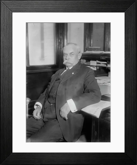 Framed Print : L.D. Mayes, between c1915 and c1920. Creator: Bain News Service Framed Print : L.D. Mayes, between c1915 and c1920. Creator: Bain News Service