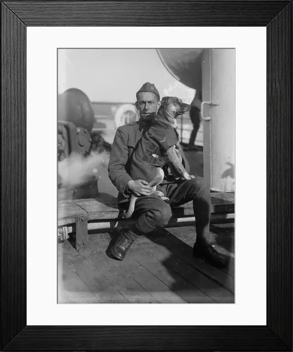 Framed Print : Mascot-- 11th Eng. between c1915 and c1920. Creator: Bain News Service Framed Print : Mascot-- 11th Eng. between c1915 and c1920. Creator: Bain News Service
