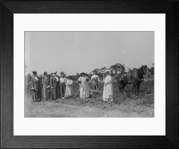 Framed Print : Mrs. T.B. Wells, Mrs. D.A. Palmer & Mary G. Hay -- suffrage farm, 1917. Creator: Bain News Service Framed Print : Mrs. T.B. Wells, Mrs. D.A. Palmer & Mary G. Hay -- suffrage farm, 1917. Creator: Bain News Service