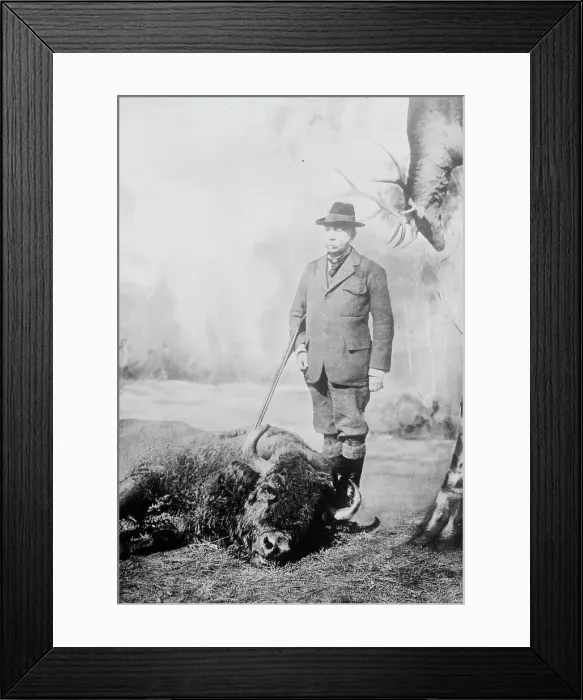 Framed Print : Walter Winans with gun and dead buffalo, between c1910 and c1915. Creator: Bain News Service Framed Print : Walter Winans with gun and dead buffalo, between c1910 and c1915. Creator: Bain News Service