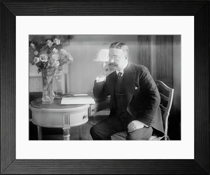 Framed Print : Gogorza, between c1915 and c1920. Creator: Bain News Service Framed Print : Gogorza, between c1915 and c1920. Creator: Bain News Service