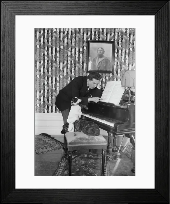 Framed Print : A. Didur, between c1915 and c1920. Creator: Bain News Service Framed Print : A. Didur, between c1915 and c1920. Creator: Bain News Service